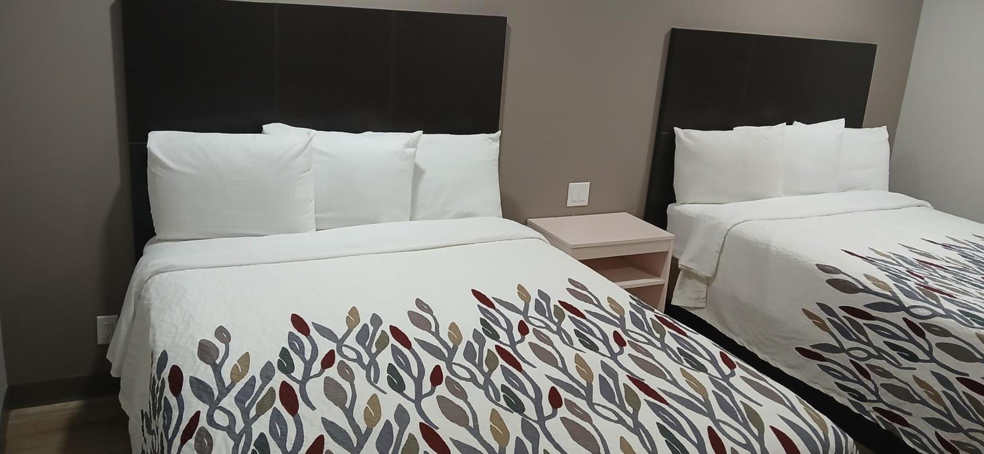Red Roof Inn & Suites Euless - Dfw Airport Southwest Bagian luar foto